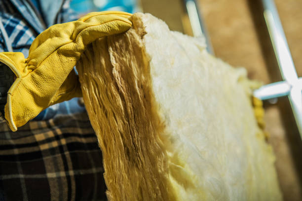 Best Energy Efficiency Insulation in Indian Harbour Beach, FL